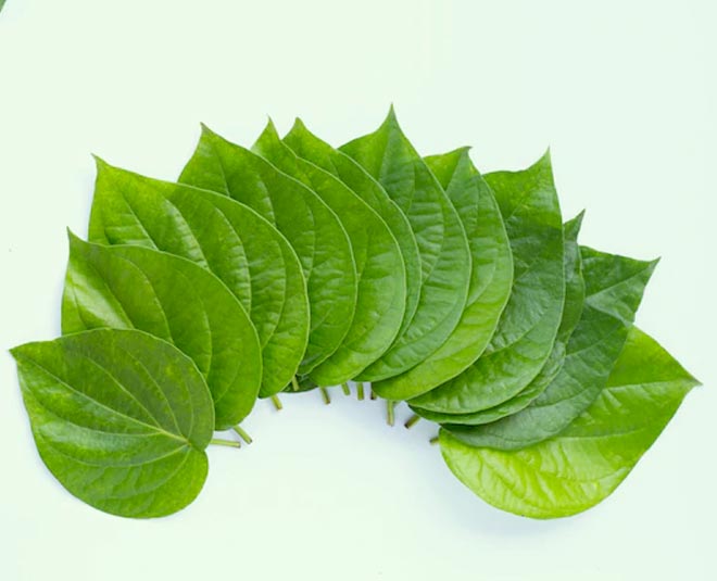 paan eating on ekadashi