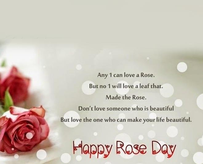 Happy Rose Day 2022: Wishes, images and quotes to send to your beloved -  Hindustan Times