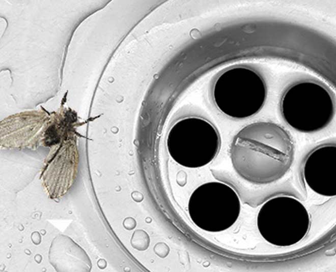 reuse of waste detergent solution inside 