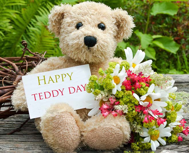 teddy day message quotes status wishes for your loved ones