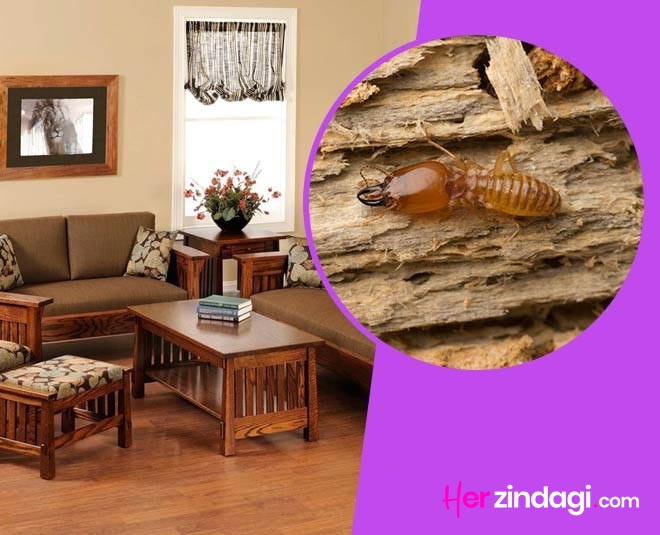 tips to save furnitures from termites