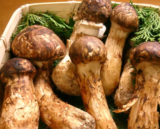 world's most expensive vegetables