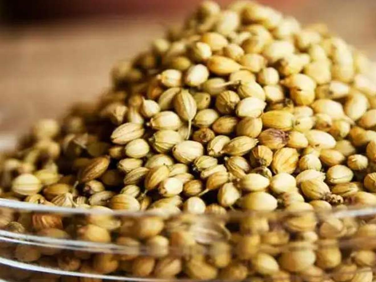 Drinking Pre Soaked Coriander Seeds In Morning May Benefit You; Health  Benefits | HerZindagi
