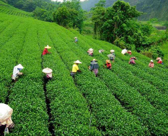 darjeeling  day travel planning inside 