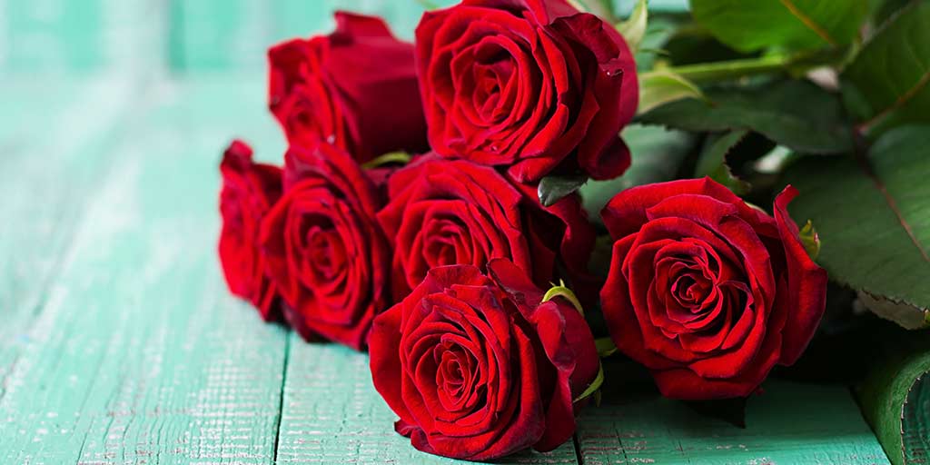 How to Keep Plucked Flowers Fresh for up to 10 Daysफ्लावर पॉट में