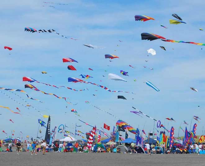 fly kites makar sankranti main