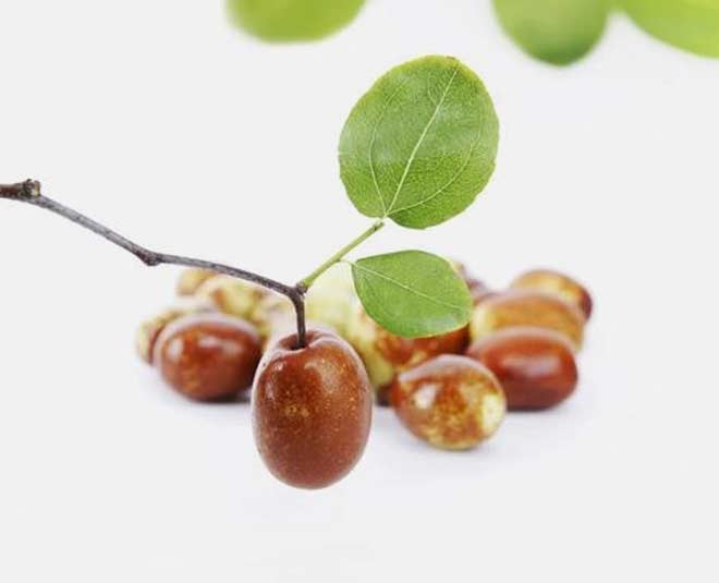 jujube fruit in hindi