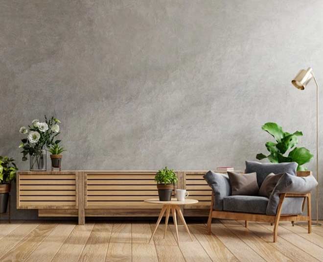 putting plants in living area