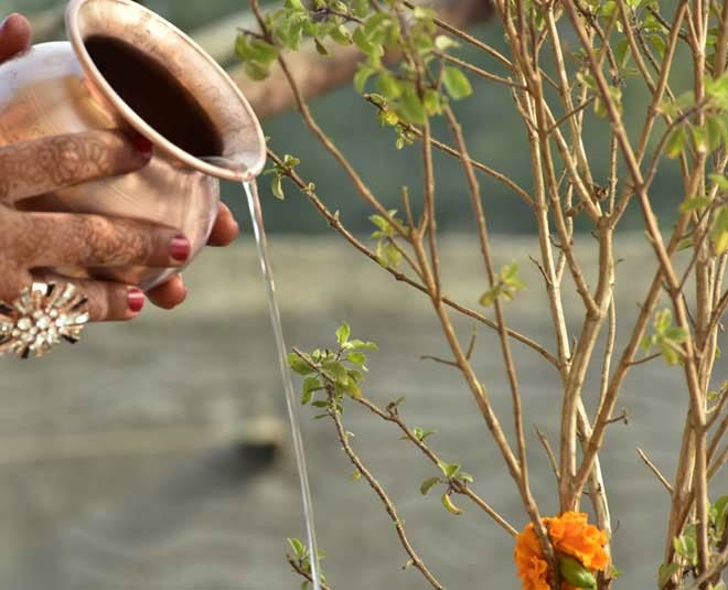विवाहित महिला करें ये उपाय tulsi magical mantra for good life and prosperity