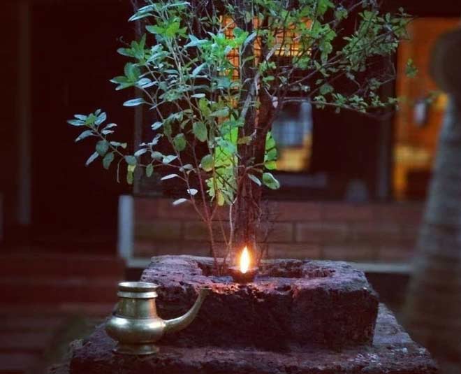तुलसी की परिक्रमा tulsi solution for home peace happiness