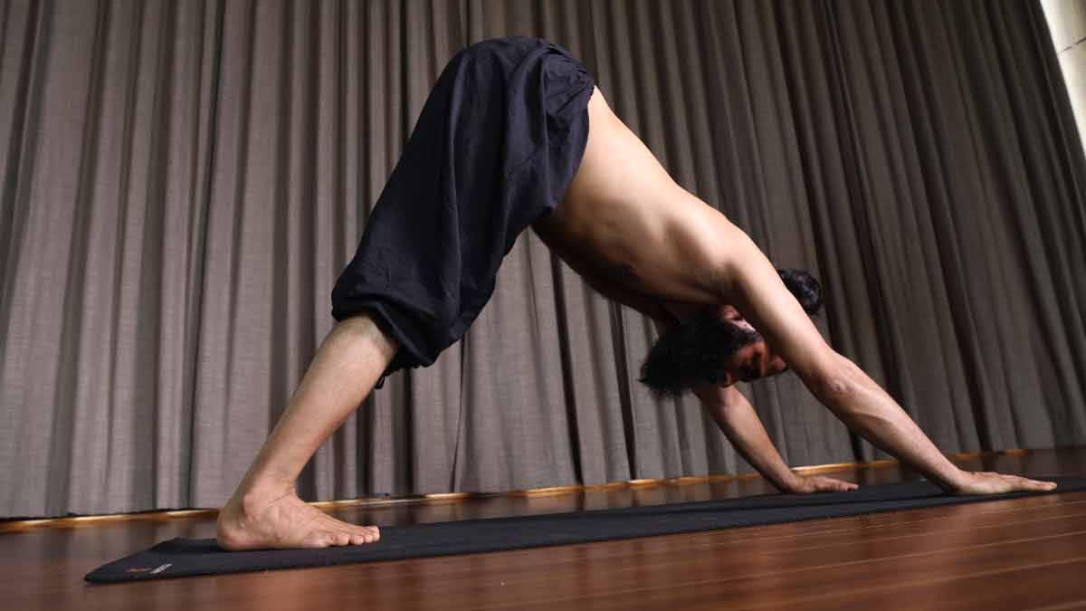 Adomukhi Svanasana