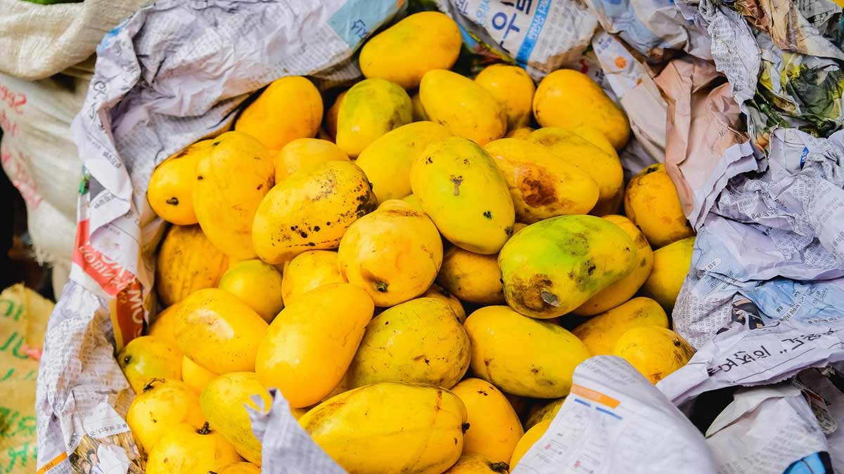 Mango Buying Tips मीठा आम की पहचान कैसे करें Mango Buy Karne Ke Tips
