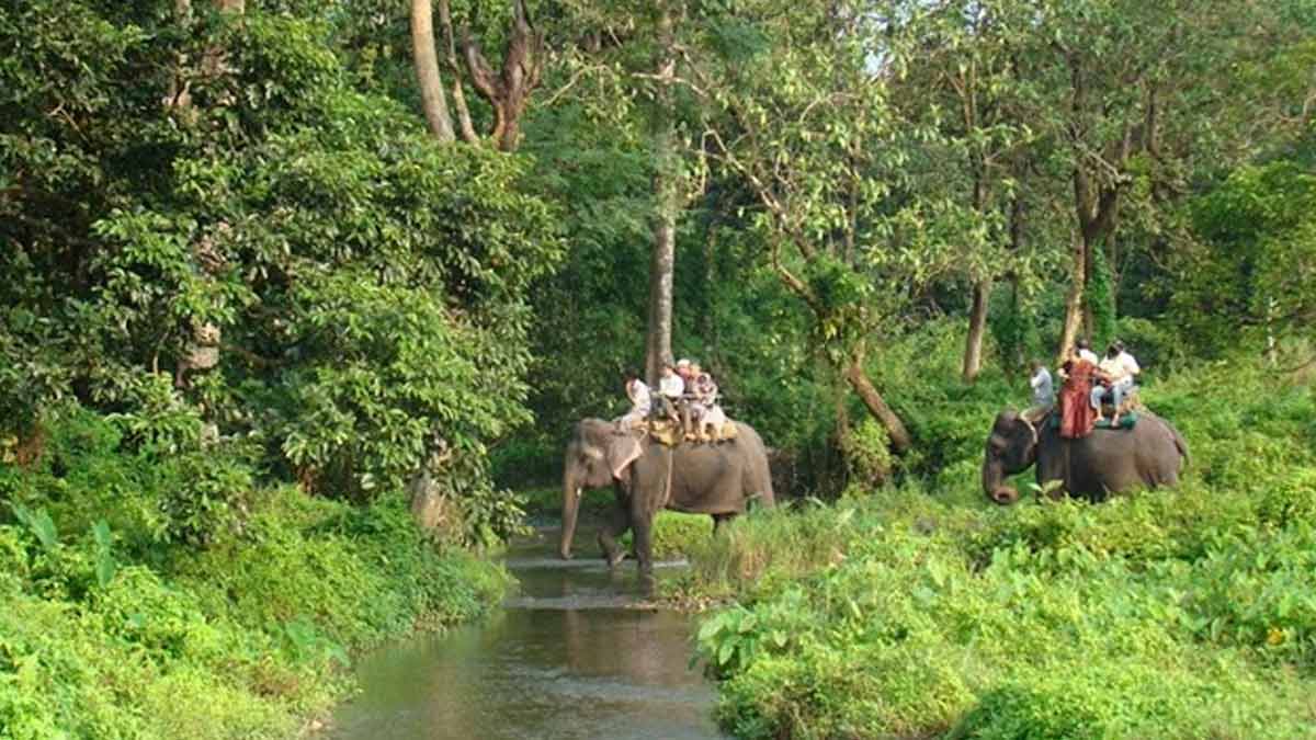 Reserve Forest Sanctuary