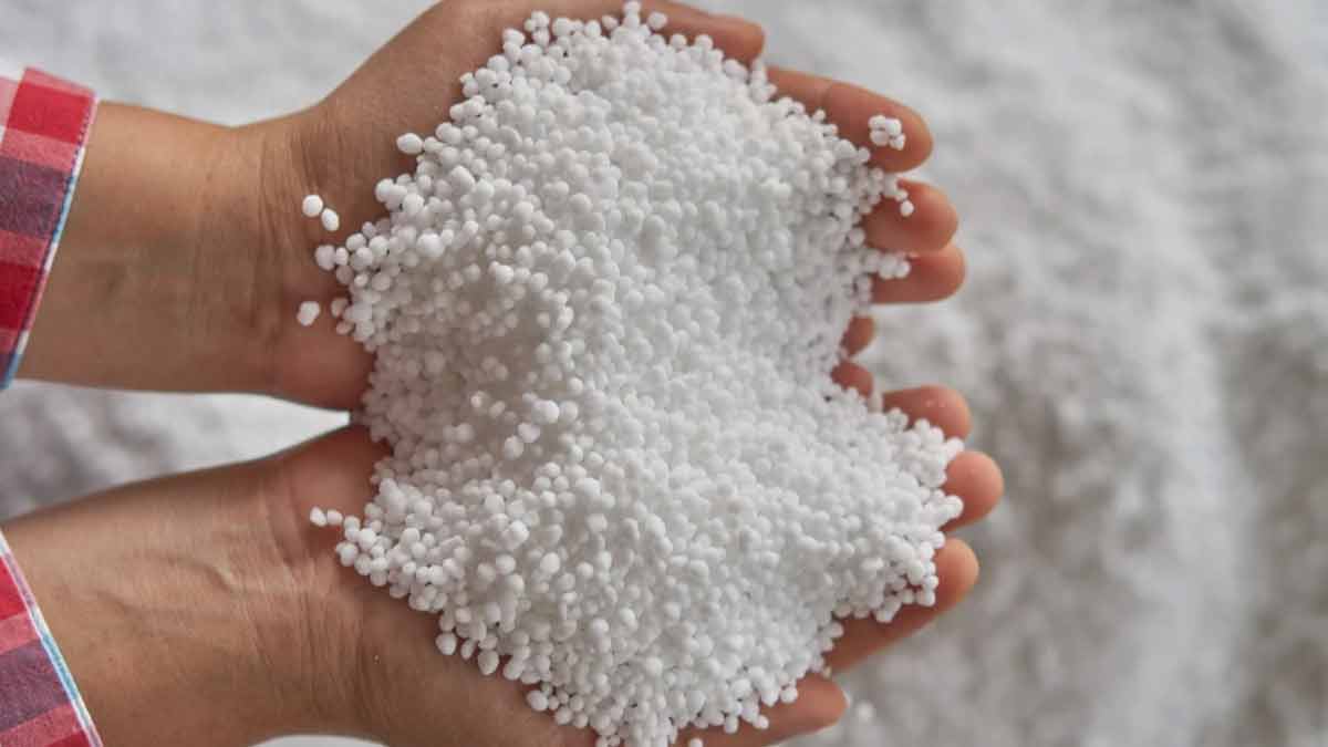 ammonia to clean moss from walls