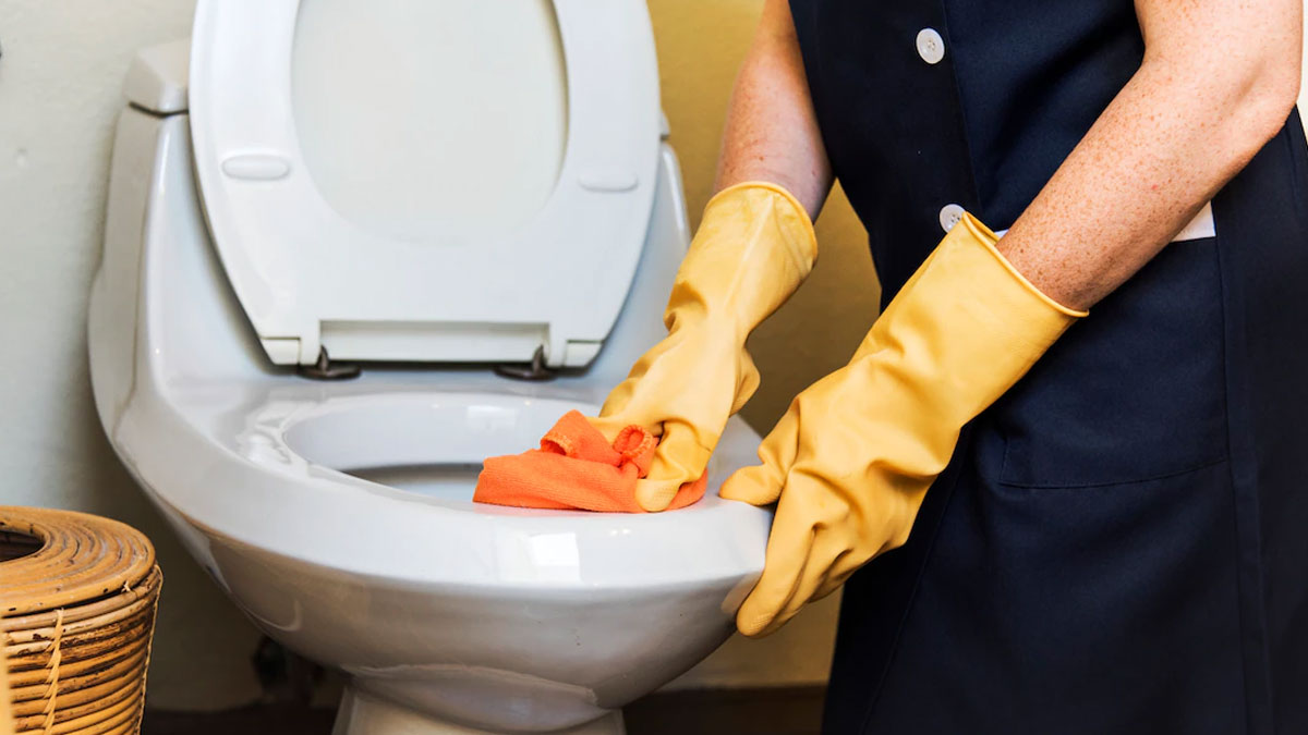 cleaning hacks for toilet pot