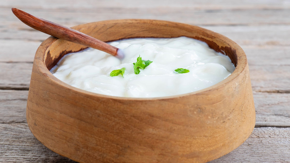 curd in shahi paneer