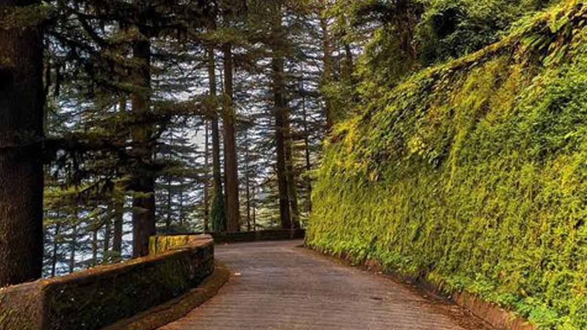 famous places to visit in landour