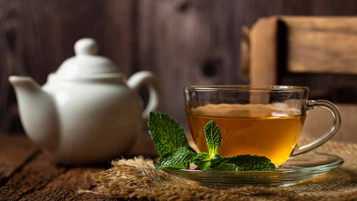 fennel water for weight loss