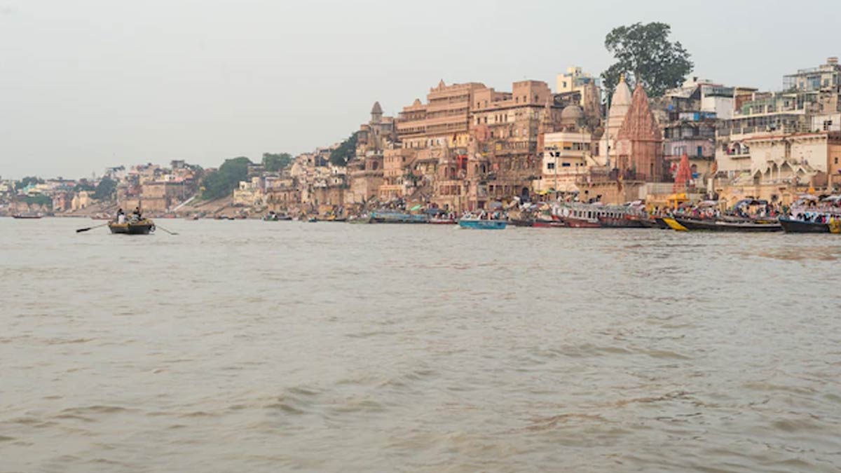 gangaja remedy to get rid of debt