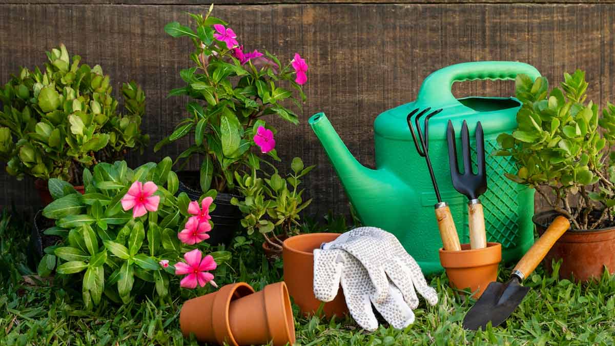 gardening hacks for monsoon