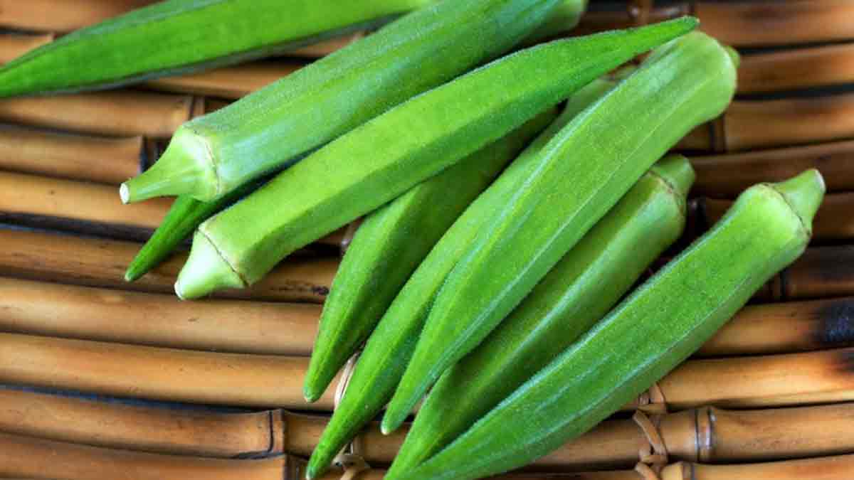 What to eat in summer: गर्मियों में स्वस्थ रहने के लिए क्या खाएं और क्या नहीं- पोषण विशेषज्ञ दीप्ति खाटूजा ने बताया