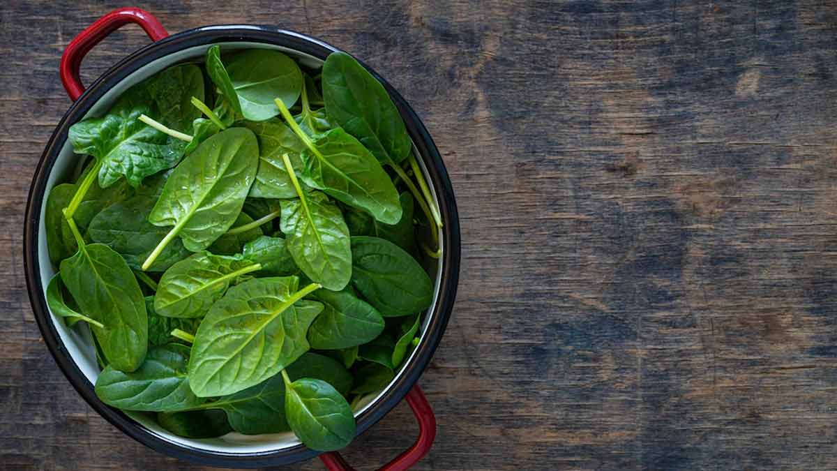 grean leaf for headache relief