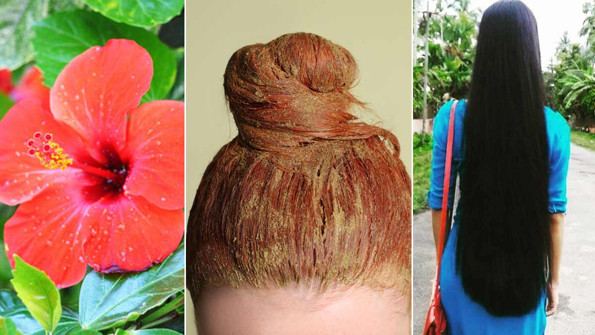बालों में मेहंदी लगाने से जुड़े मिथक और उनकी सच्चाई | Applying Henna on Hair  Myths And Facts in Hindi | Onlymyhealth