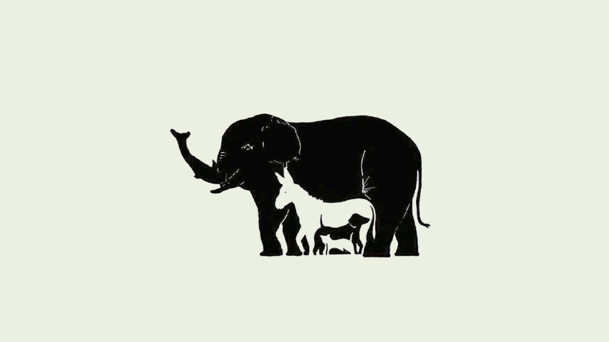 how to find animals in optical illusion in  seconds