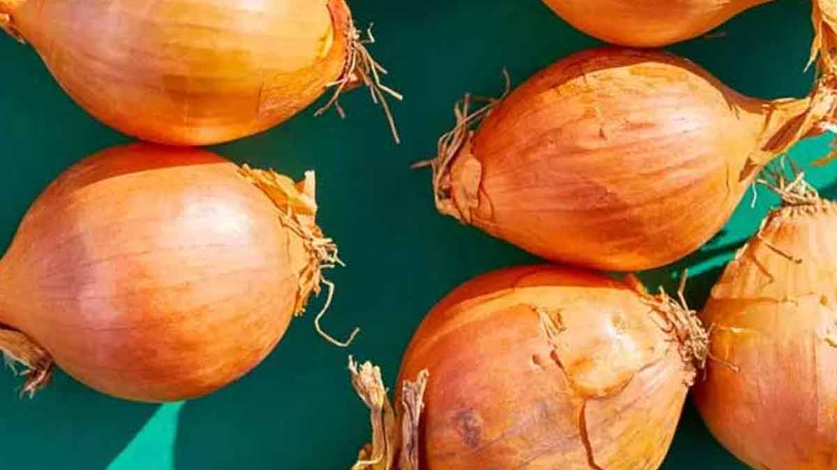 how to keep onions from sprouting at home