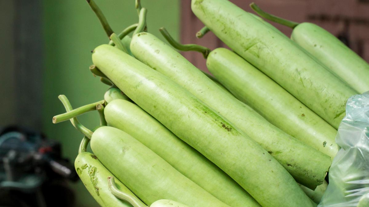 how to make sweet lauki chutney recipe