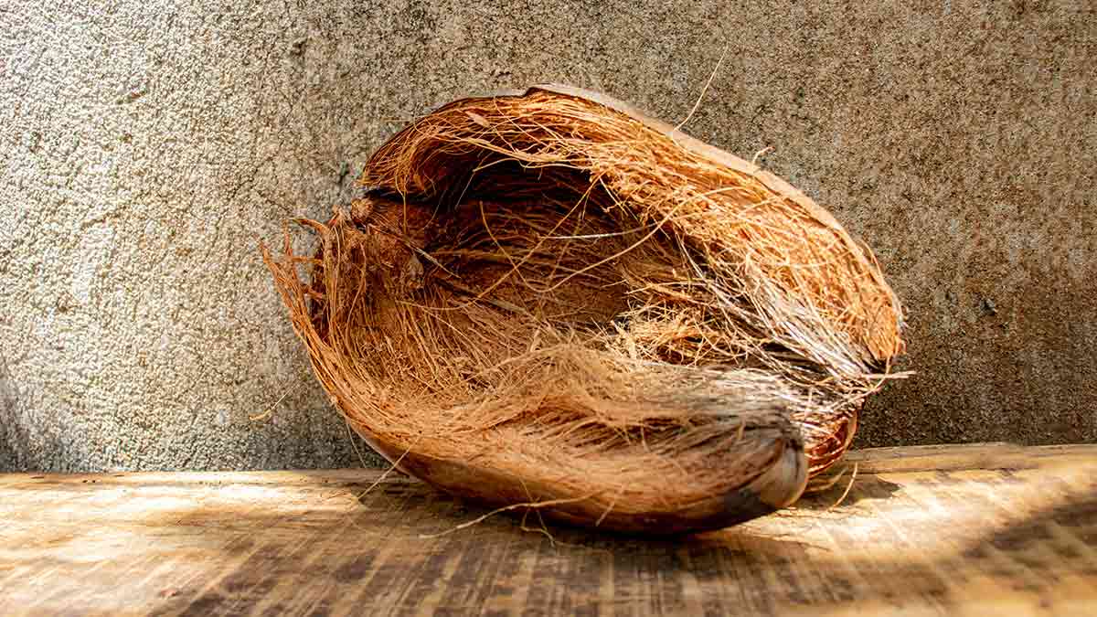 how to use coconut husk at home