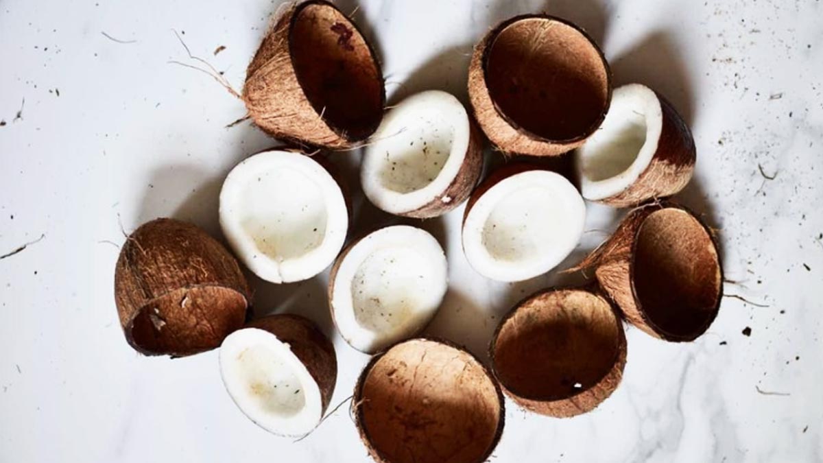how to use coconut shell