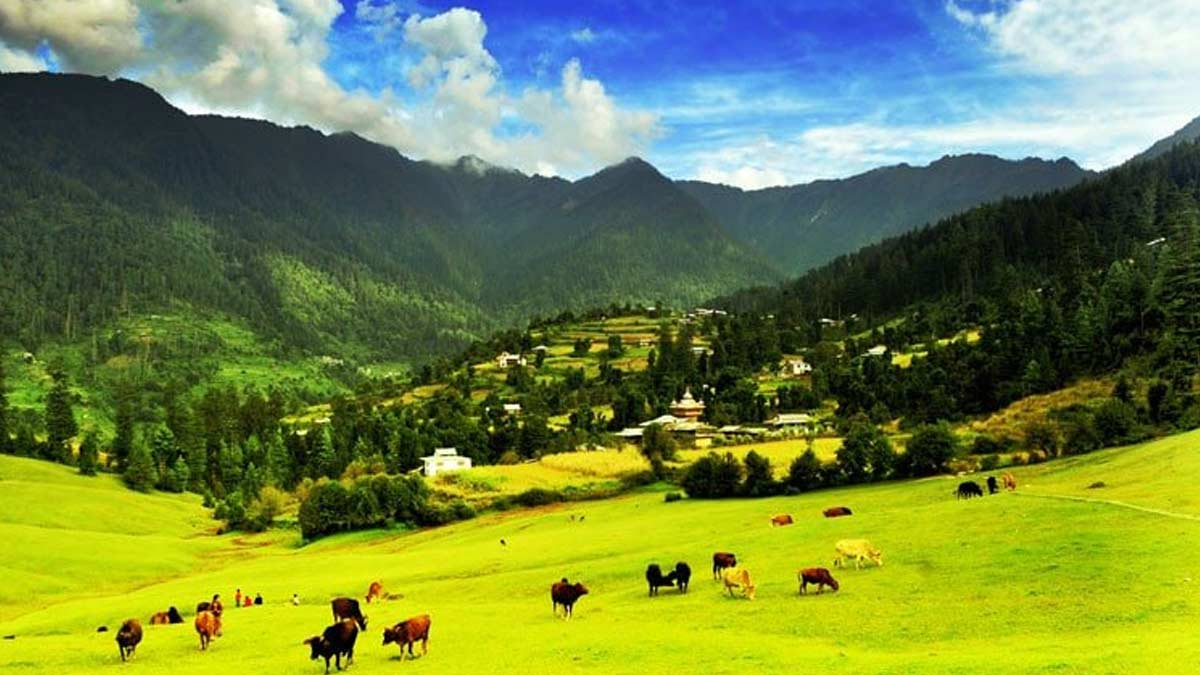 know all about sainj valley in hindi