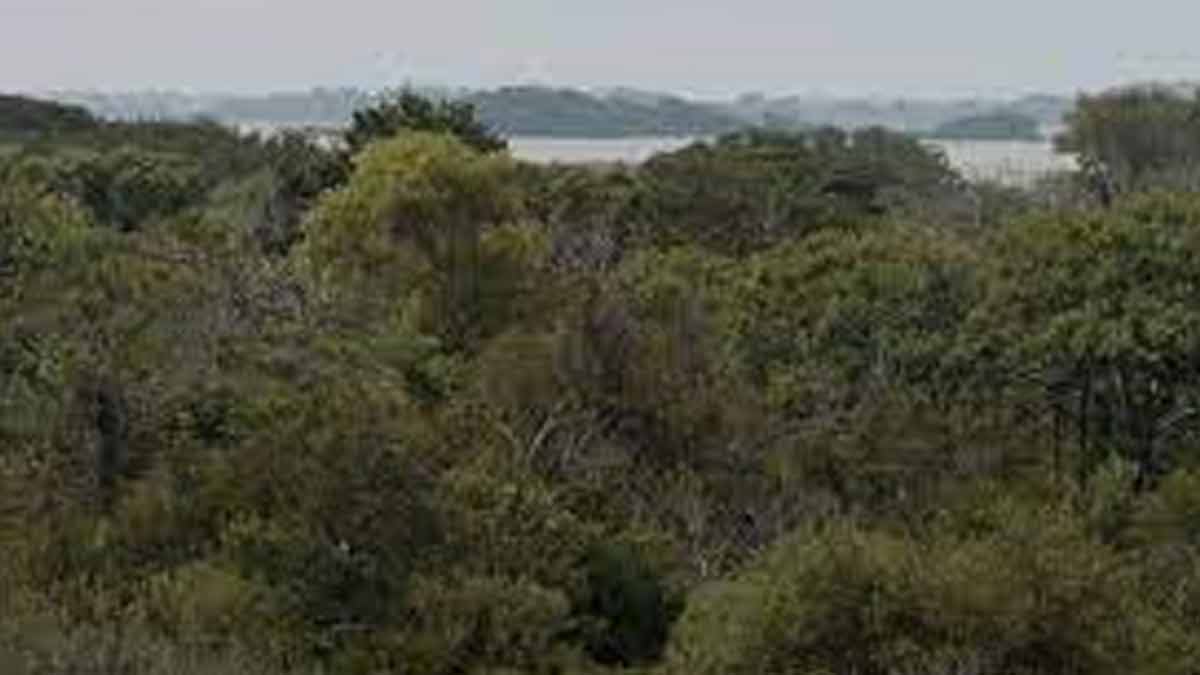 mori uttarakhand tourist places van vibhag