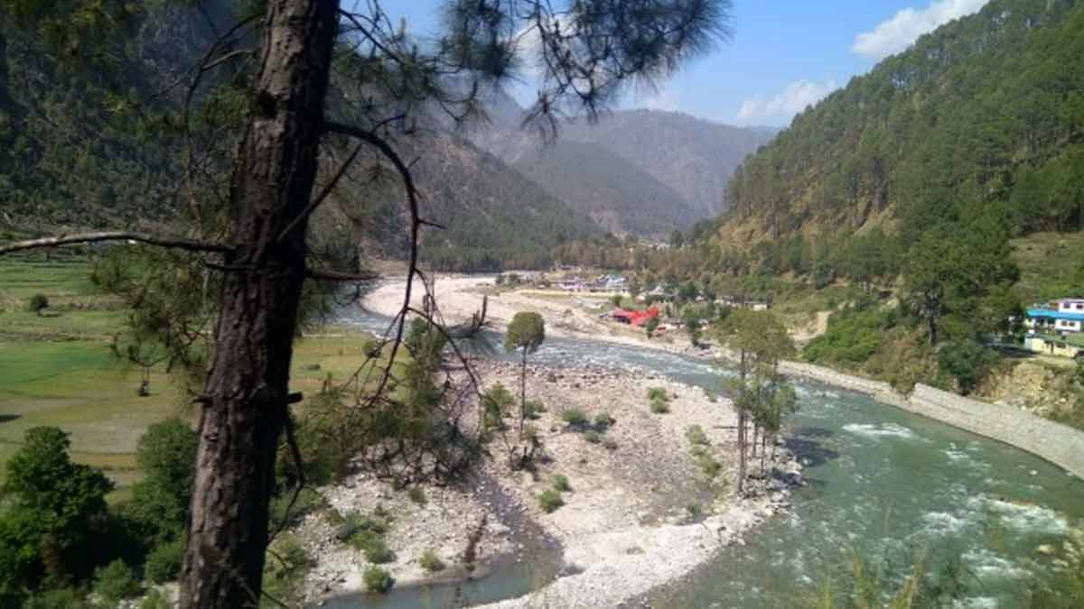 netwar in mori uttarakhand