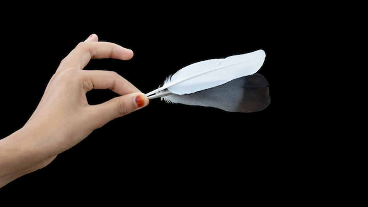 pigeon feather ke upay