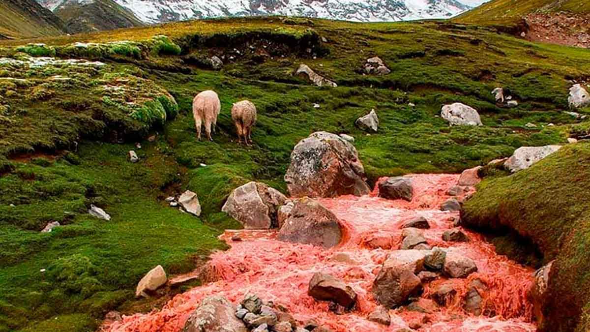 red river mystery in peru in hindi