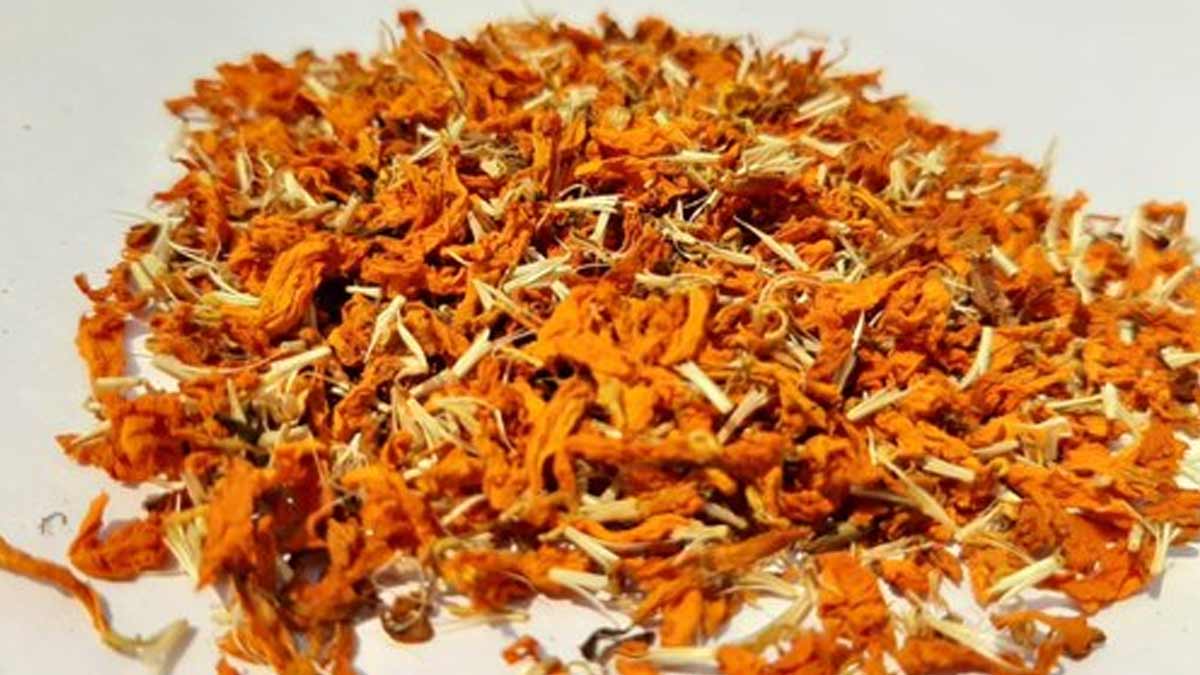cheap saffron substitute for cookingकेसर की जगह खाने में क्या डालें