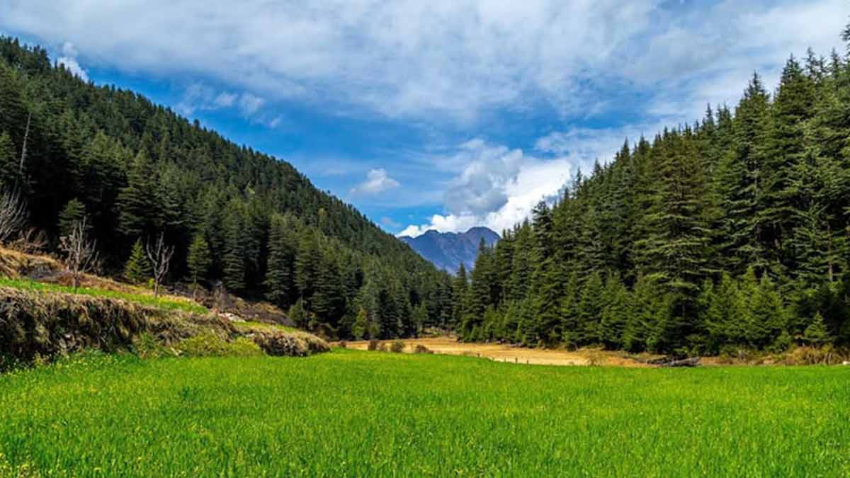 sainj valley village