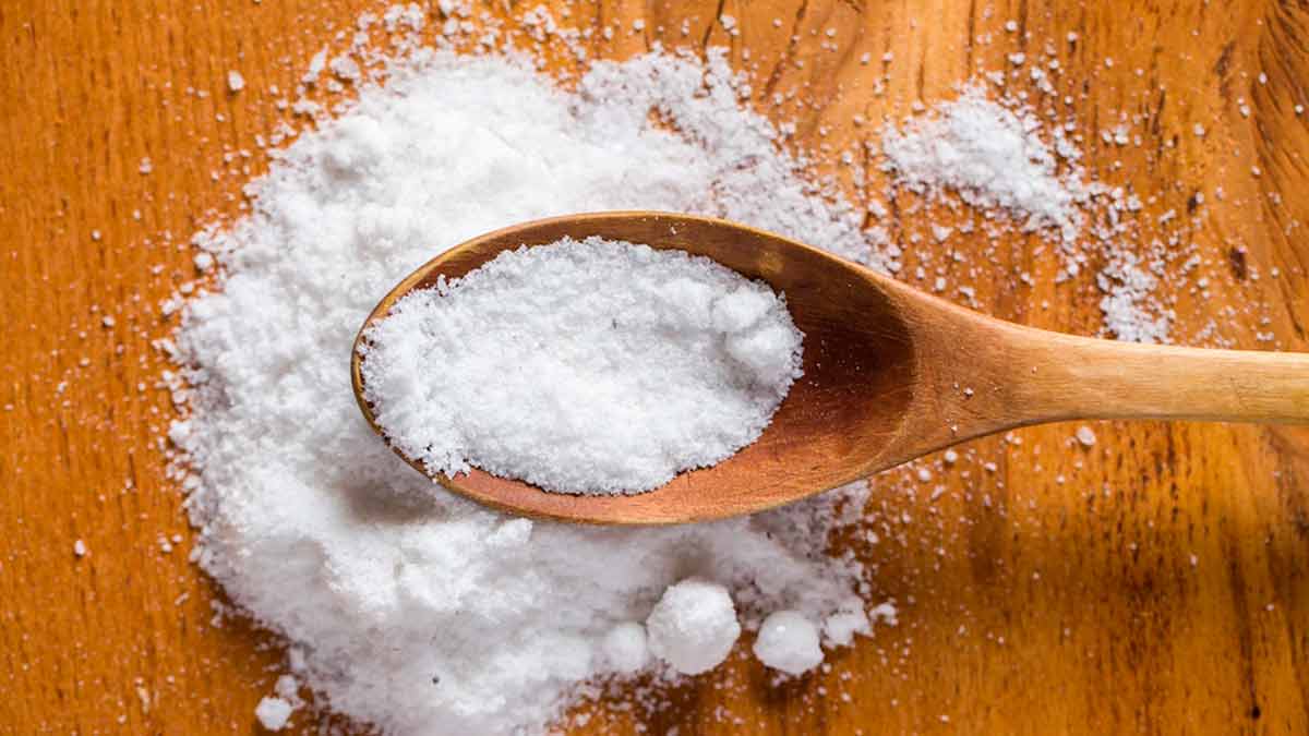 salt for get rid of frogs