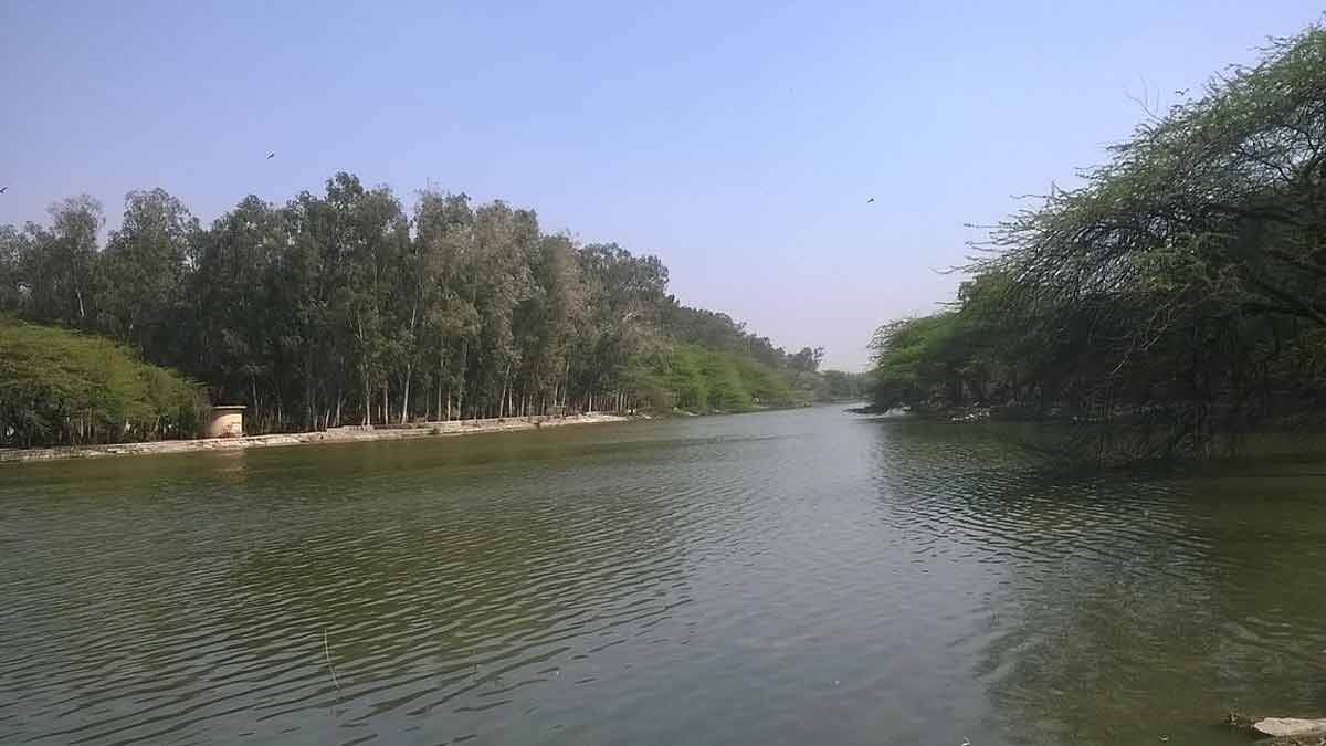 sanjay jheel east delhi