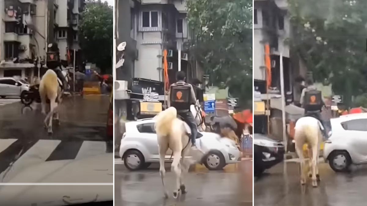swiggy delivery man on horse