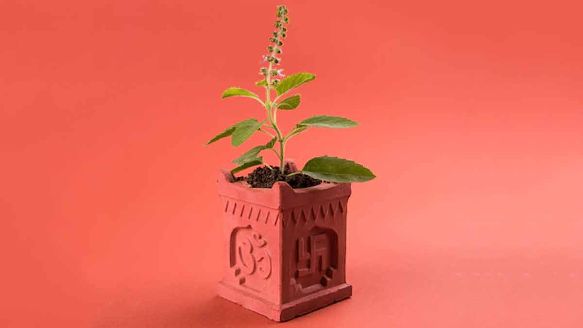 tulsi plant vastu for home