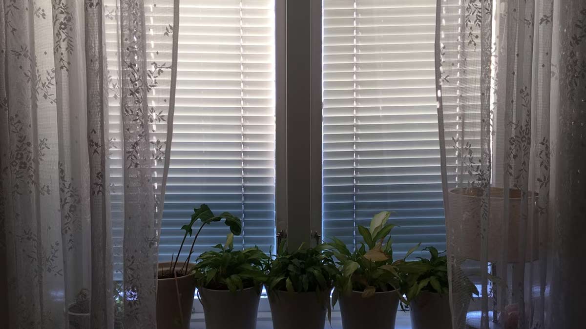 what are lace curtains