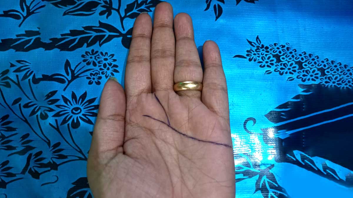 what your palm y lines say about your personality