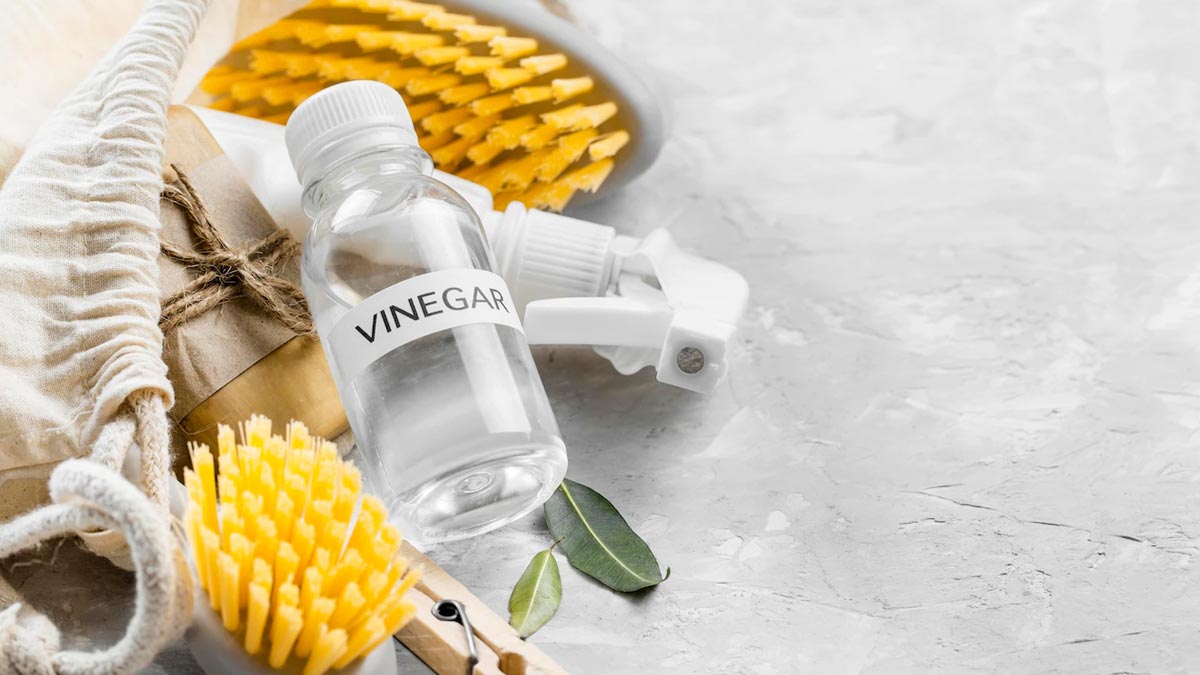 white vinegar for fungus removal
