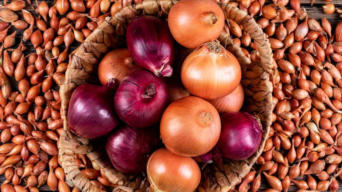  ways to store onions