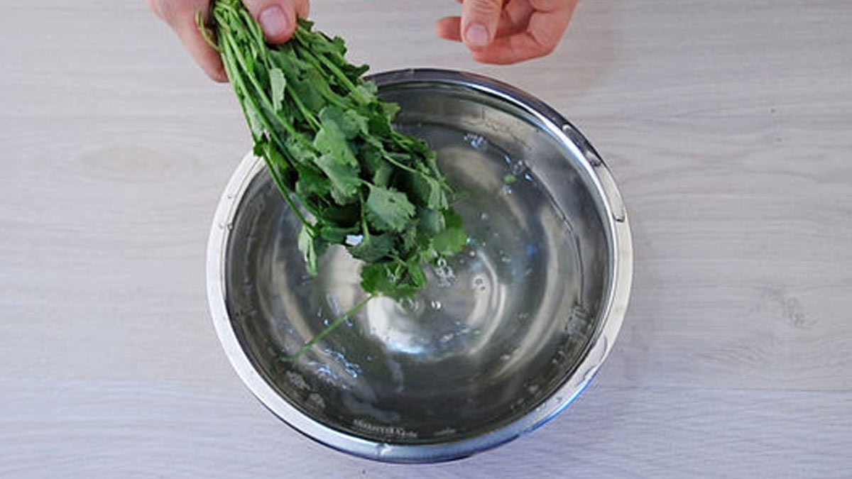 Coriander leaves washing tips