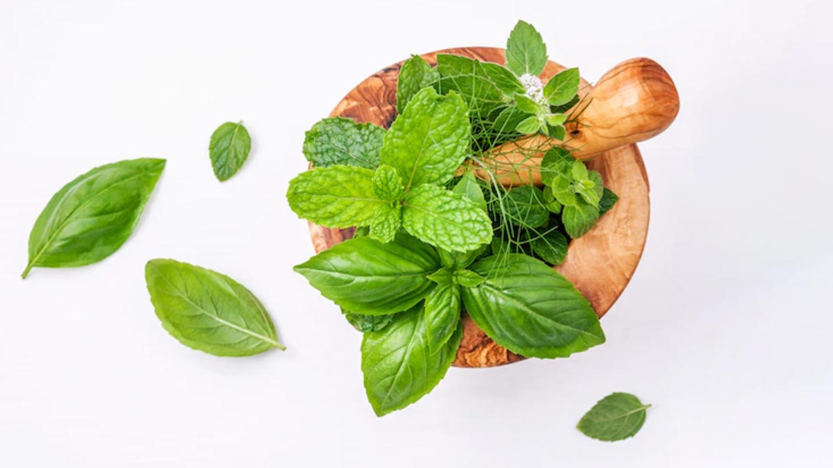 Herbs Vs Spices In Hindi ()