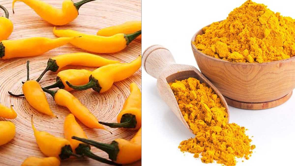 Tips to make yellow chilli powder in hindi